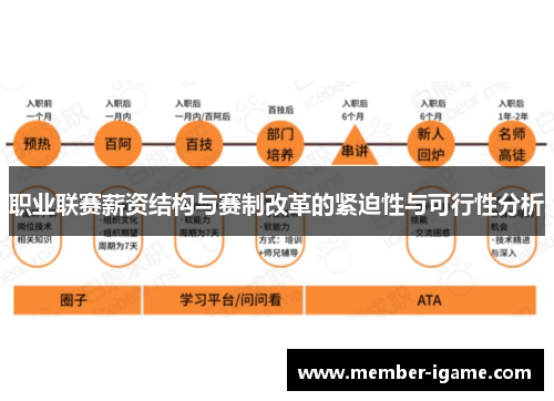 职业联赛薪资结构与赛制改革的紧迫性与可行性分析 职业联赛薪资结构与赛制改革的紧迫性与可行性分析