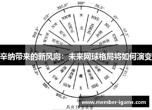 辛纳带来的新风向：未来网球格局将如何演变