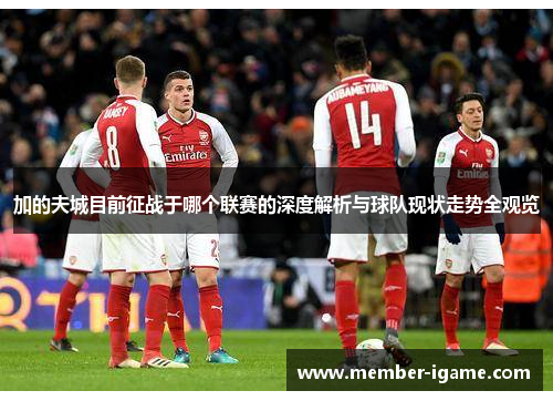 加的夫城目前征战于哪个联赛的深度解析与球队现状走势全观览