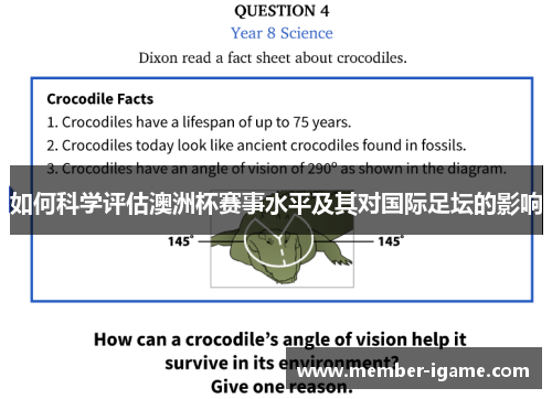 如何科学评估澳洲杯赛事水平及其对国际足坛的影响 如何科学评估澳洲杯赛事水平及其对国际足坛的影响