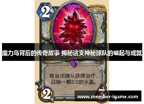 魔力鸟背后的传奇故事 揭秘这支神秘球队的崛起与成就 魔力鸟背后的传奇故事 揭秘这支神秘球队的崛起与成就